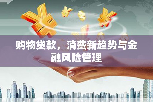 龙江购物贷款，消费新趋势与金融风险管理