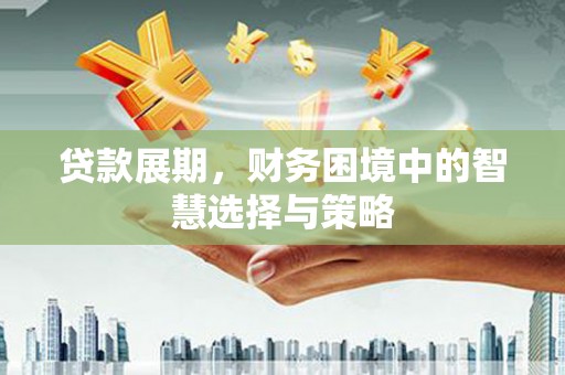 汤原贷款展期，财务困境中的智慧选择与策略