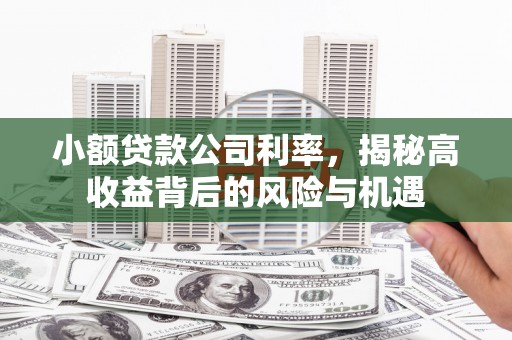 黄南小额贷款公司利率，揭秘高收益背后的风险与机遇