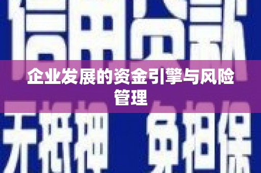 石排企业发展的资金引擎与风险管理
