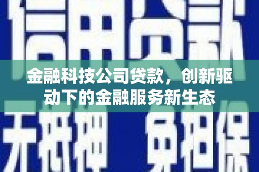 巨野金融科技公司贷款，创新驱动下的金融服务新生态