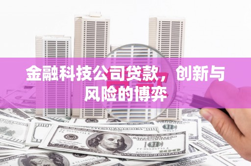 安仁金融科技公司贷款，创新与风险的博弈