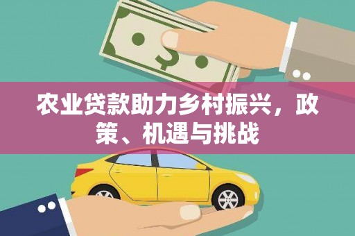 高坪农业贷款助力乡村振兴，政策、机遇与挑战