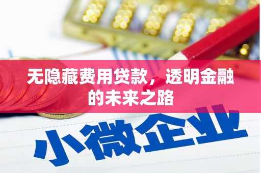 湖口无隐藏费用贷款，透明金融的未来之路