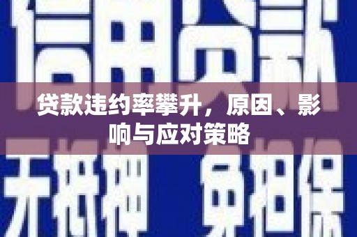 乐清贷款违约率攀升，原因、影响与应对策略