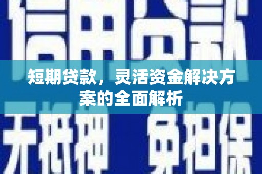 罗东短期贷款，灵活资金解决方案的全面解析
