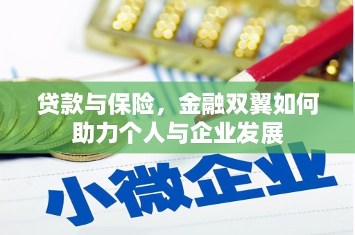 天元贷款与保险，金融双翼如何助力个人与企业发展