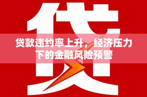 潍坊贷款违约率上升，经济压力下的金融风险预警