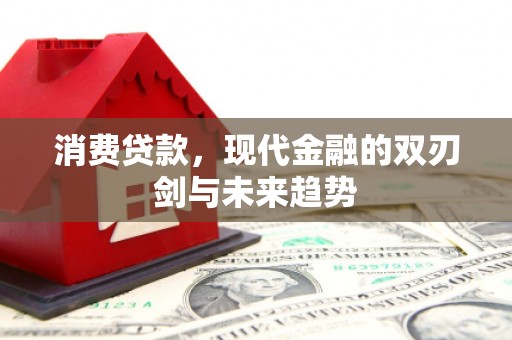 富川消费贷款，现代金融的双刃剑与未来趋势