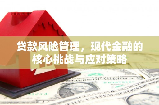 吉水贷款风险管理，现代金融的核心挑战与应对策略