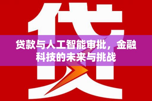 阜宁贷款与人工智能审批，金融科技的未来与挑战