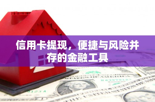 双城信用卡提现，便捷与风险并存的金融工具