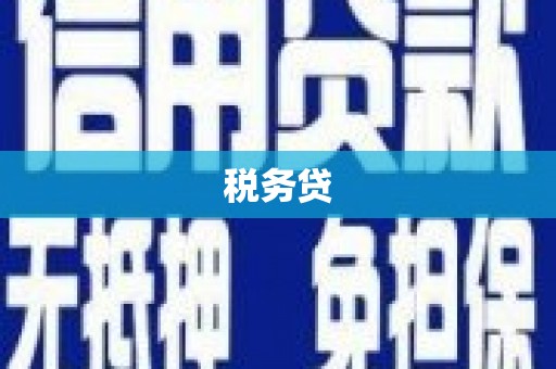 张家港税务贷