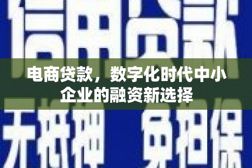 田林电商贷款，数字化时代中小企业的融资新选择