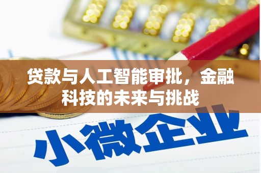 天门贷款与人工智能审批，金融科技的未来与挑战
