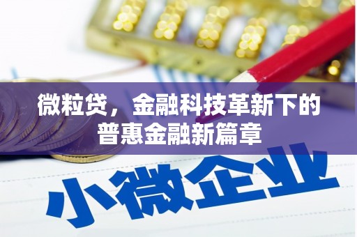 福州微粒贷，金融科技革新下的普惠金融新篇章