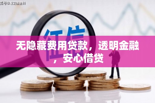 天峨无隐藏费用贷款，透明金融，安心借贷