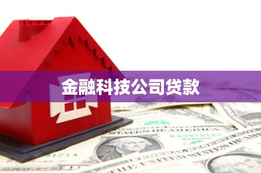 武侯金融科技公司贷款