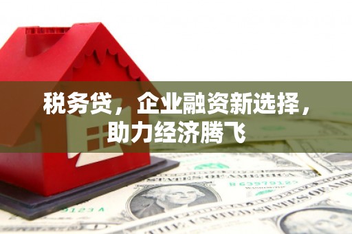 兴县税务贷，企业融资新选择，助力经济腾飞