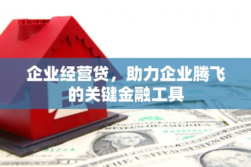 凯里企业经营贷，助力企业腾飞的关键金融工具