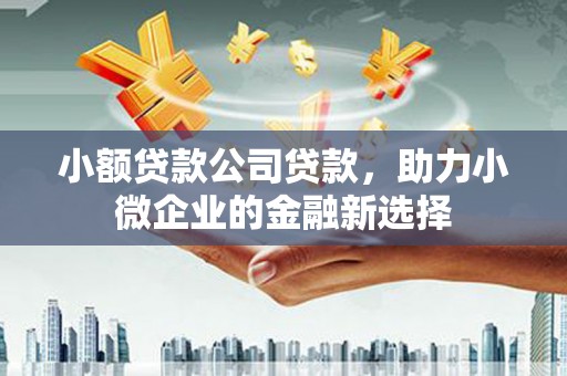 尼玛小额贷款公司贷款，助力小微企业的金融新选择