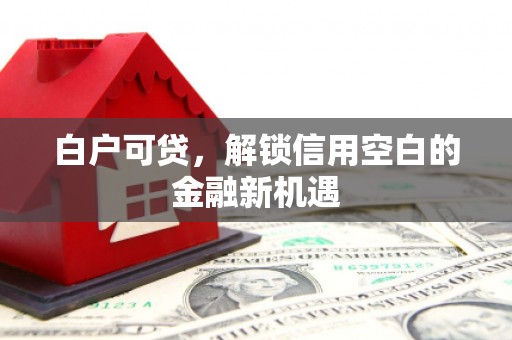 隆尧白户可贷，解锁信用空白的金融新机遇