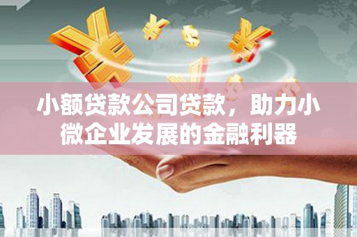 清丰小额贷款公司贷款，助力小微企业发展的金融利器