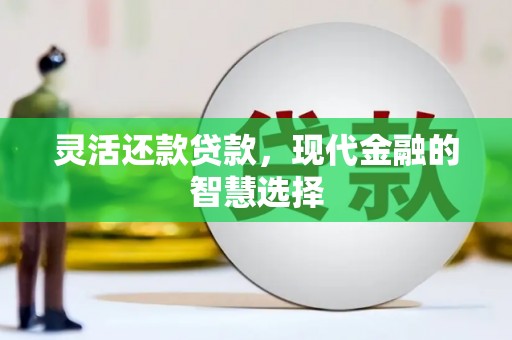 华龙灵活还款贷款，现代金融的智慧选择