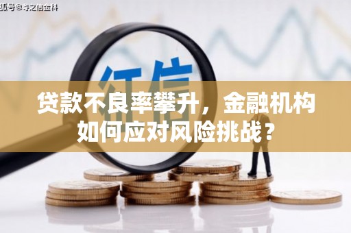盖州贷款不良率攀升，金融机构如何应对风险挑战？