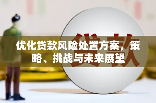 措勤优化贷款风险处置方案，策略、挑战与未来展望