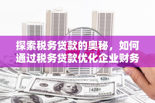 海东探索税务贷款的奥秘，如何通过税务贷款优化企业财务