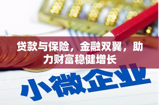 东明贷款与保险，金融双翼，助力财富稳健增长