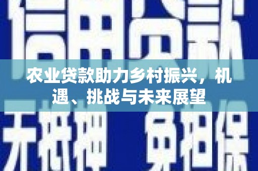 宜君农业贷款助力乡村振兴，机遇、挑战与未来展望