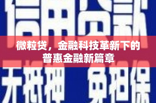 中西区微粒贷，金融科技革新下的普惠金融新篇章