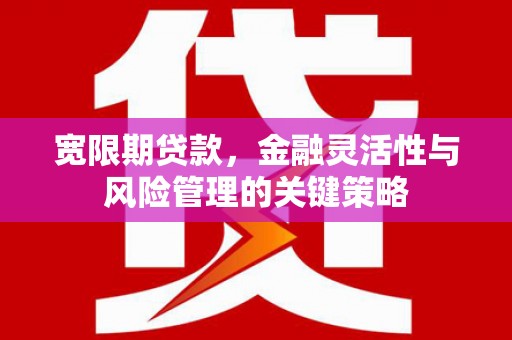 青岛宽限期贷款，金融灵活性与风险管理的关键策略