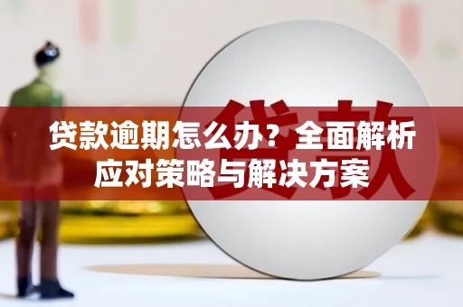 修武贷款逾期怎么办？全面解析应对策略与解决方案