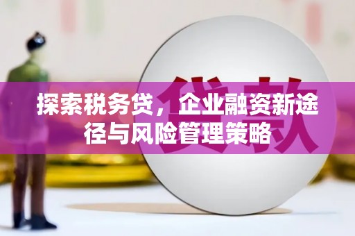 关岭探索税务贷，企业融资新途径与风险管理策略