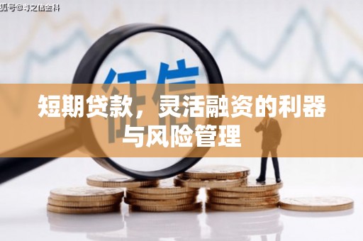 土默特左旗短期贷款，灵活融资的利器与风险管理