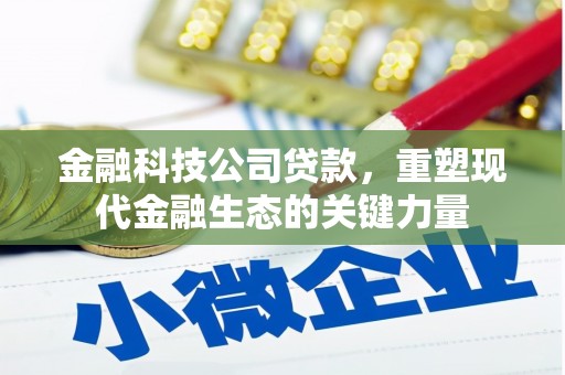 儋州金融科技公司贷款，重塑现代金融生态的关键力量