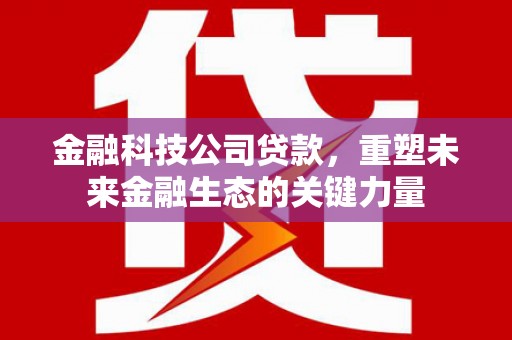 葫芦岛金融科技公司贷款，重塑未来金融生态的关键力量