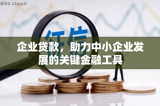 寿丰企业贷款，助力中小企业发展的关键金融工具