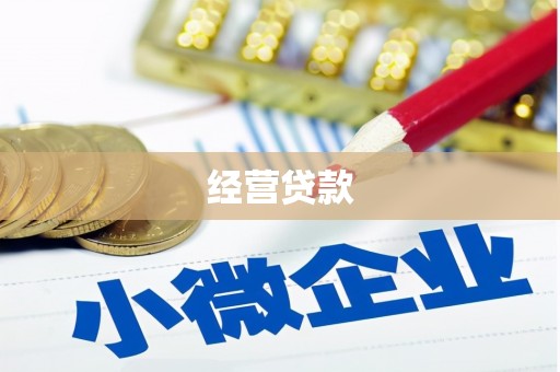 大城经营贷款