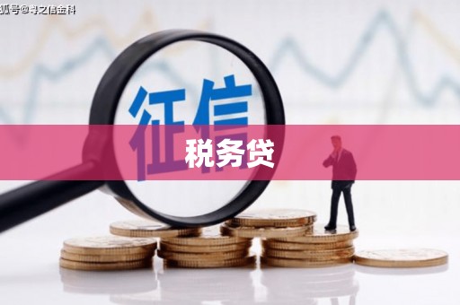 苍溪税务贷