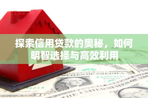莒南探索信用贷款的奥秘，如何明智选择与高效利用