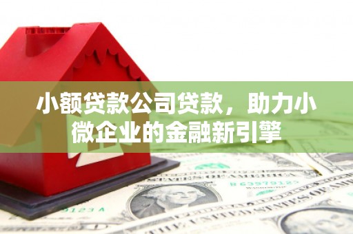 长丰小额贷款公司贷款，助力小微企业的金融新引擎
