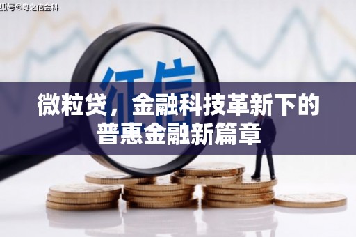 南湖微粒贷，金融科技革新下的普惠金融新篇章