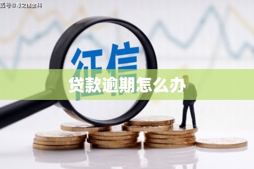渝中贷款逾期怎么办