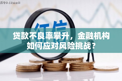卧龙贷款不良率攀升，金融机构如何应对风险挑战？