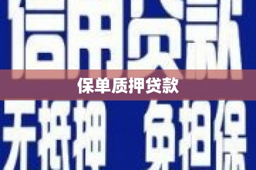 南充保单质押贷款