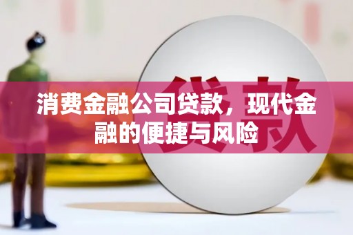 盐湖消费金融公司贷款，现代金融的便捷与风险